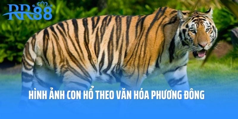 Hình ảnh con Hổ theo văn hóa phương Đông